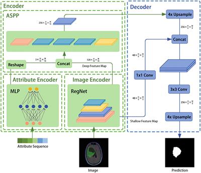 Deep learning-based magnetic resonance image segmentation technique for application to glioma